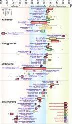 Zircon and garnet U-Pb dating reveals the mineralization history of volcanic-related skarn iron deposits