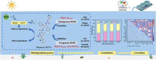 Effects of dissolved organic matter from different sources on ritonavir photolysis