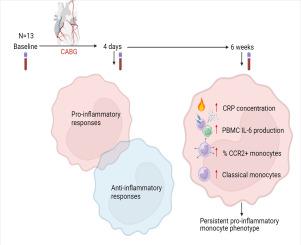 Long-term monocyte activation after coronary artery bypass grafting: An exploratory prospective observational study