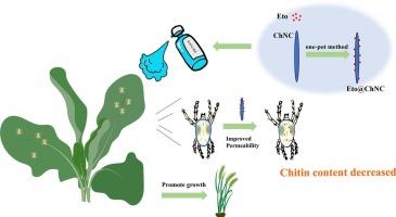 Enhanced mite control and agricultural safety with etoxazole-loaded chitin nanocrystals: Synthesis, characterization, and ecological impacts