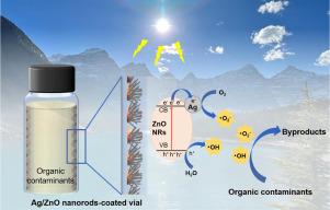 A novel approach for immobilizing Ag/ZnO nanorods on a glass substrate: Application in solar light-driven degradation of micropollutants in water