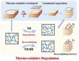 Oxygen diffusion effects in thermo-oxidative degradation of typical tire rubber