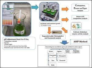 Carbonic anhydrase activity and metabolite variation of different microalgae species at alkaline pHs