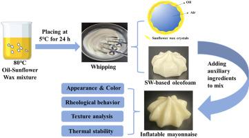 Preparation of sunflower wax-based oleofoams and its application in inflatable reduced-fat mayonnaise