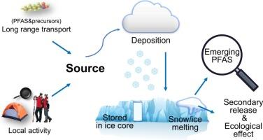 Fate of ‘forever chemicals’ in the global cryosphere