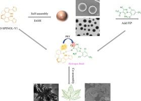 Novel self-assembled spirochiral nanofluorescent probe for fipronil detection efficiently by PET mechanism