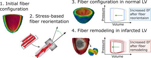 Multiscale fiber remodeling in the infarcted left ventricle using a stress-based reorientation law