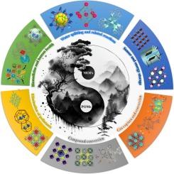 Versatile POMOF-based materials: Synthesis, mechanism, topology and catalytic applications