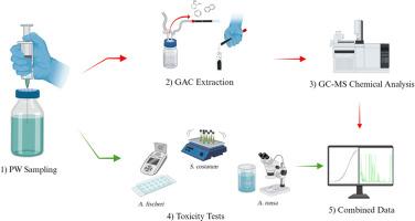 Quantification and ecotoxicological contribution of volatile compounds in produced water effluents