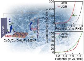 Construction of CeO2/Co(OH)2/FeS@NF nanosheet arrays for high-performance electrocatalytic oxygen evolution/urea oxidation, and overall water/urea splitting reactions