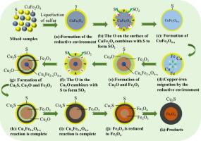 Sulfidation behavior of copper ferrite induced with sulfur and flotation responses