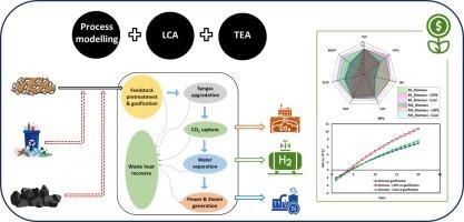 Process optimisation and enviro-economic assessment of carbon-negative hydrogen production from biomass co-gasification