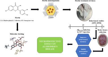 In silico and in vivo evaluations of fisetin and fisetin-loaded nanosuspension on monoamine oxidase inhibition in Aβ(25–35) induced dementia in mice model