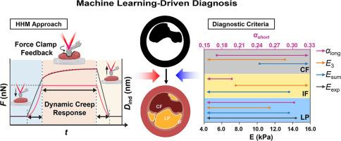 Deciphering the complex mechanics of atherosclerotic plaques: A hybrid hierarchical theory-microrheology approach