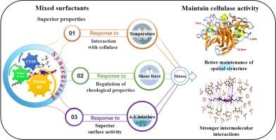 In-depth recognition of mixed surfactants maintaining the enzymatic activity of cellulases through stabilization of their spatial structures