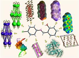 Comprehensive assessment of schiff base derived from 4-Chloroaniline and 2-Formylphenol: Molecular architecture, experimental with computational bioactivity profiling, emphasizing anticancer efficacy against pulmonary and mammary carcinoma cell models