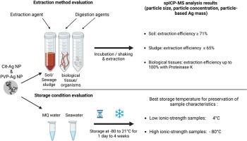 Evaluation of extraction and storage conditions for quantification and characterization of silver nanoparticles in complex samples by single particle-ICP-MS