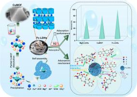 Fabrication of 3D flower-shaped MgAl-LDHs with inducing CuMOF for improving its adsorption and antibacterial performance