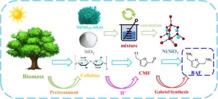 A novel approach for the preparation of furandiamines utilizing biomass platform chemicals as substrates via Gabriel synthesis