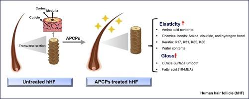 The impact of AP collagen peptides (APCPs) on hair shaft elasticity and gloss: A comprehensive analysis