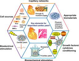 A critical review on advances and challenges of bioprinted cardiac patches