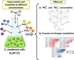 Alterations in nitrogen metabolism caused by heavy metals in the acid-tolerant microalga Coccomyxa onubensis