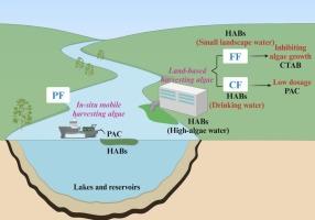 A multi-dimensional comparative study on the performance of algae removal using various flotation