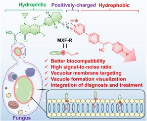 An AIE fungal vacuole membrane probe toward species differentiation, vacuole formation visualization, and targeted photodynamic therapy