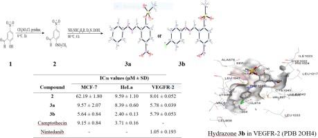 Synthesis, crystal structure, cytotoxicity (MCF-7 and HeLa) and free radical scavenging activity of the hydrazones derived from 2-methylsulfonyl-5-nitrobenzaldehyde