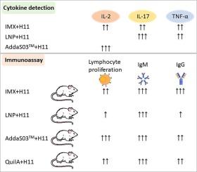 Effects of immune response on different nano-adjuvants combined with H11 antigen of Haemonchus contortus