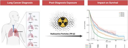 Ambient beta particle radioactivity and lung cancer survival: Results from the Boston Lung Cancer Study