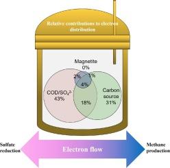 Magnetite-mediating direct interspecies electron transfer is not pivotal role in directing electrons toward methane production from sulfate containing wastewater