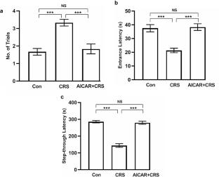 AMP-Activated Protein Kinase Treatment Ameliorates Chronic Restraint Stress Induced Memory Impairment in Early Adolescent Rat by Restoring Metabolite Profile and Synaptic Proteins