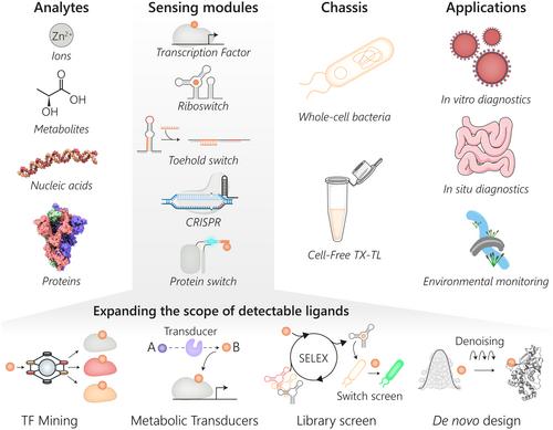 Microbial biosensors for diagnostics, surveillance and epidemiology: Today's achievements and tomorrow's prospects