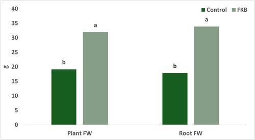 Assessment of Fermented Kiwifruit on Morpho-Physiological and Productive Performances of Fragaria spp Plants, Grown Under Hydroponic Conditions