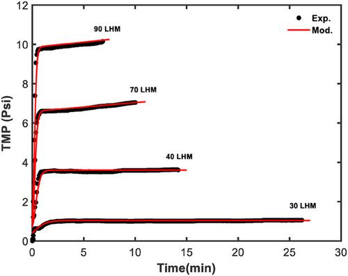 An Experimental and Modeling Approach to Study Tangential Flow Filtration Performance for mRNA Drug Substance Purification