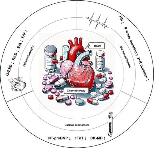 Induction Chemotherapy-Related Covert Cardiac Remodeling in Pre-Autologous Hematopoietic Stem Cell Transplantation for Multiple Myeloma: A Retrospective Observational Study