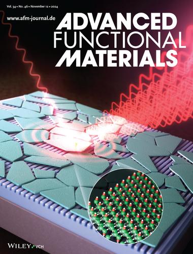 Unleashing 2D MXene's Plasmonic Effect for Advanced Photonic Device Applications (Adv. Funct. Mater. 46/2024)