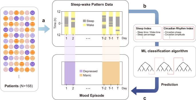 Accurately predicting mood episodes in mood disorder patients using wearable sleep and circadian rhythm features