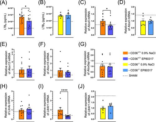 Targeting CD36 With EP 80317 Reduces Remote Inflammatory Response to Hind Limb Ischemia-Reperfusion in Mice