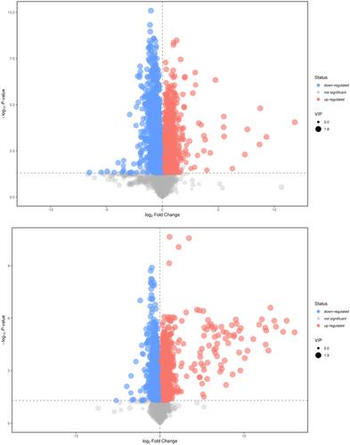 Molecular insights into acetyl triethyl citrate (ATEC) induced toxic effect in HepG2 cells based on multi-omics integrative analysis