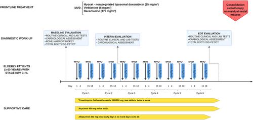 Liposomal Doxorubicin, Vinblastine and Dacarbazine Plus Consolidation Radiotherapy of Residual Nodal Masses for Frontline Treatment in Older Adults With Advanced Stage Classic Hodgkin Lymphoma: Improved Outcome in a Multi-Center Real-Life Study