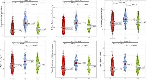 β-Cell gene expression stress signatures in types 1 and 2 diabetes