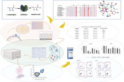 L-Asparaginase from Lachancea Thermotolerans: Effect of Lys99Ala on Enzyme Performance and in vitro Antileukemic Efficacy