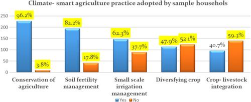 Does Adoption of Multiple Climate-Smart Agriculture Practices Improve Rural Farm Households' Food Security in Ethiopia?