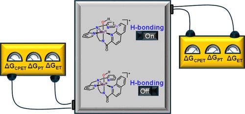 Basicity of MnIII-Hydroxo Complexes Controls the Thermodynamics of Proton-Coupled Electron Transfer Reactions