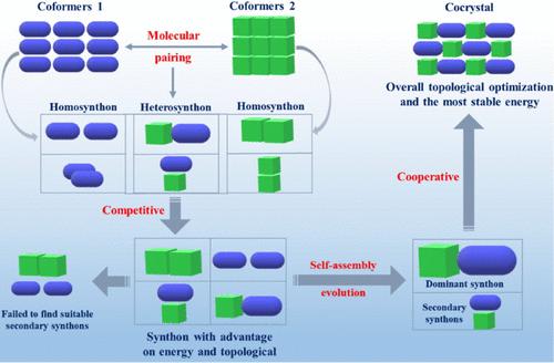 Competitive and Cooperative Mechanisms in the Self-Assembly Evolution of Indole Carboxylic Acid–Bipyridine Cocrystals