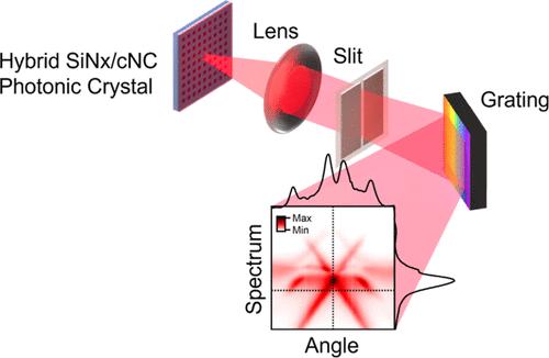 Unraveling the Nature of Lasing Emission from Hybrid Silicon Nitride and Colloidal Nanocrystal Photonic Crystals with Low Refractive Index Contrast