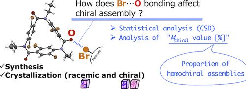 Effect of Br···O Bonding on the Chiral Assembly of Brominated Amides in the Crystalline Phase