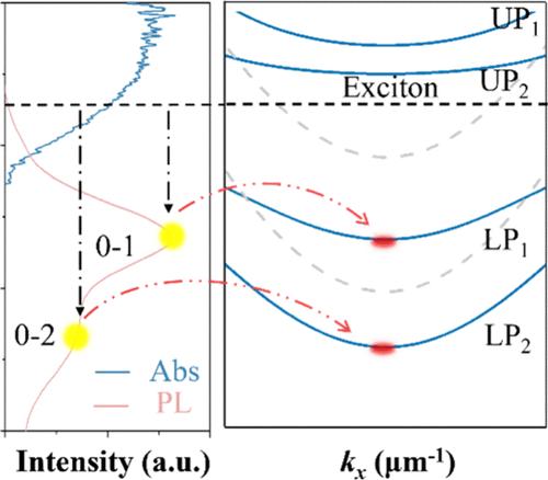 Dual-Wavelength Exciton-Polariton Condensation via Relaxation of Multiple Vibrational Quanta in Organic Microcavities